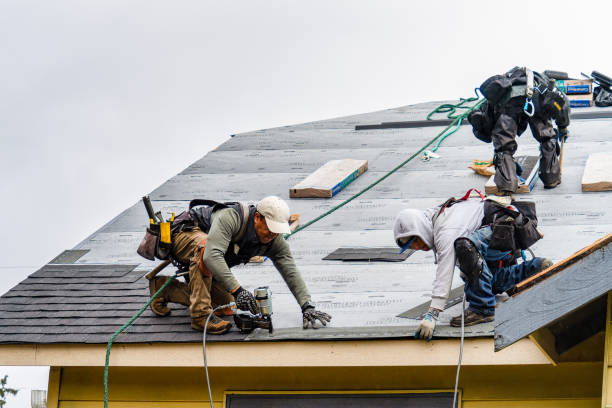 Professional Roof Replacement technician working in Alberta, MN